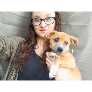 Meet your Posher, Cassidy