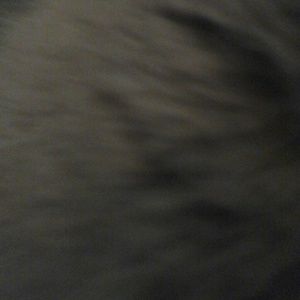 Meet your Posher, Tim