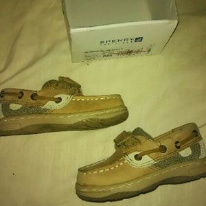 6m sperry