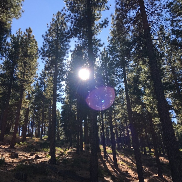 Meet your Posher, Britt - Picture 1 of 1