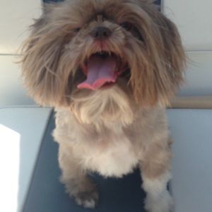 Meet your Posher, Macey