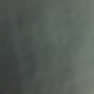 Meet your Posher, Niki