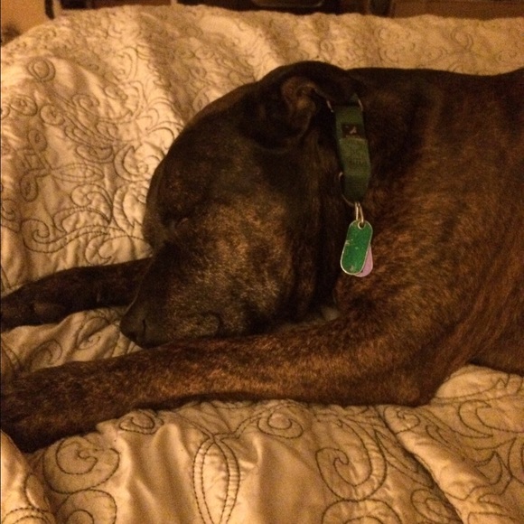 Back to selling 🥰 and shopping 😍 - Picture 9 of 9