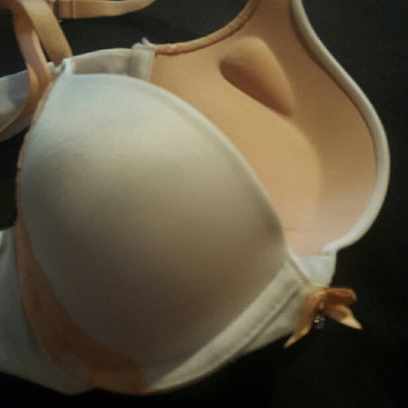 Exxtreme push up bra