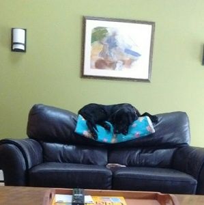 Meet your Posher, Juliana