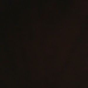 Meet your Posher, Beatriz