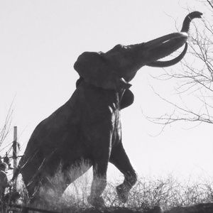 Meet your Posher, Millicent