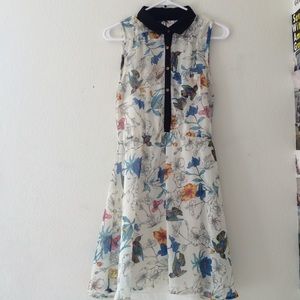 Collared Shift Dress