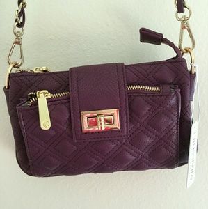 FLASH SALE Charming Charlie Crossbody/Wristlet