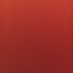 Meet your Posher, Natasha