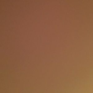 Meet your Posher, Tess