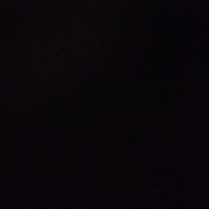 Meet your Posher, Bella