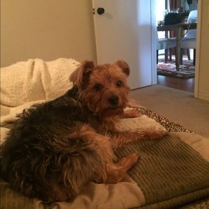 Meet your Posher, Lori