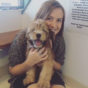 Meet your Posher, Melissa