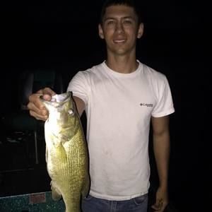 Meet your Posher, Trevor