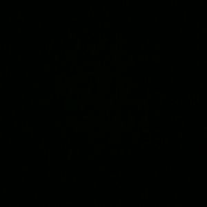 Meet your Posher, Maiya