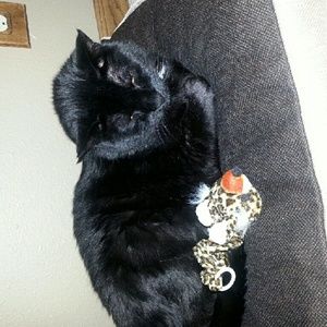 Meet your Posher, Tonya