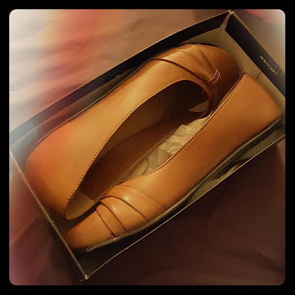 Brown Flats