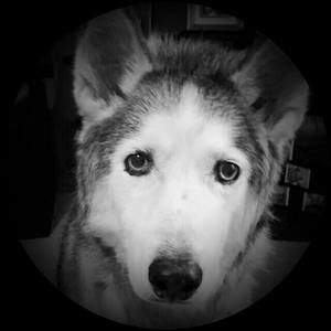 Meet your Posher, L beth