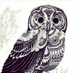 Meet your Posher, Mayra