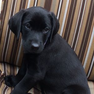 Meet your Posher, Stacy