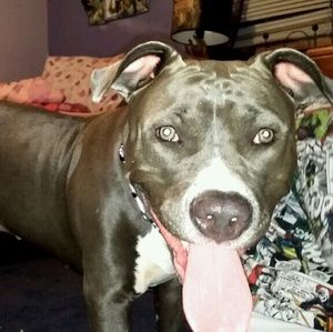 Meet your Posher, Leeann