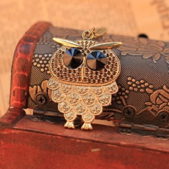 Jewelry - NEW Owl Pendant Necklace
