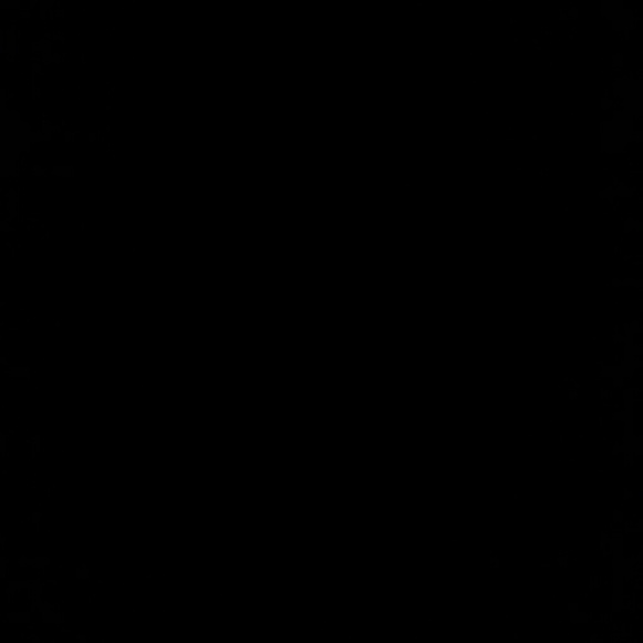 Meet your Posher, Felicia - Picture 1 of 1