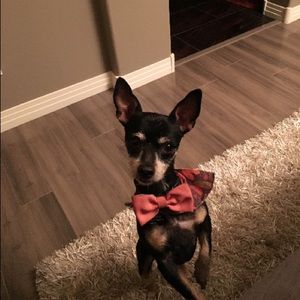 Meet your Posher, Jill