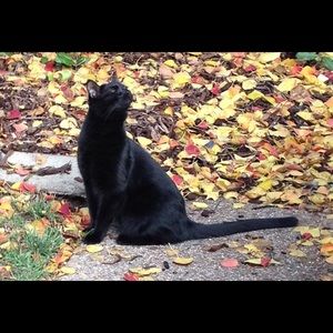 Meet your Posher, Cindy