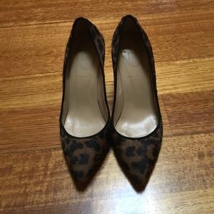 J. Crew Pumps 6.5