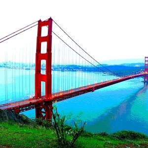 Meet your Posher, Hailey