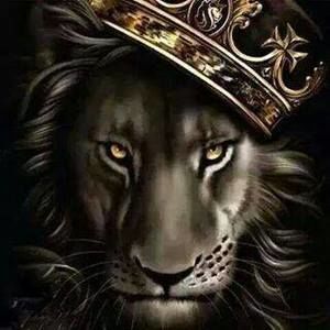 Meet your Posher, Dwayne