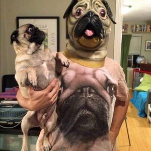 Meet your Posher, Lewis