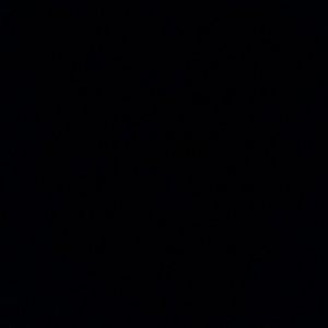 Meet your Posher, Genesis