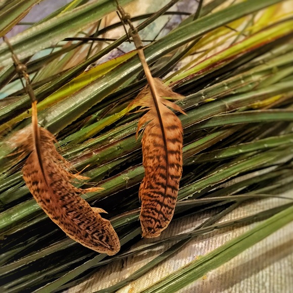 Feather earrings