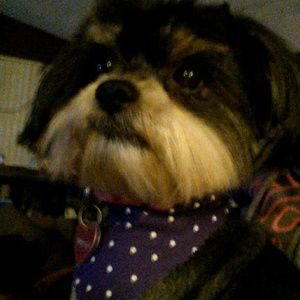 Meet your Posher, Jenny