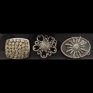 Interchangeable Snap on Snap off Belt Buckle