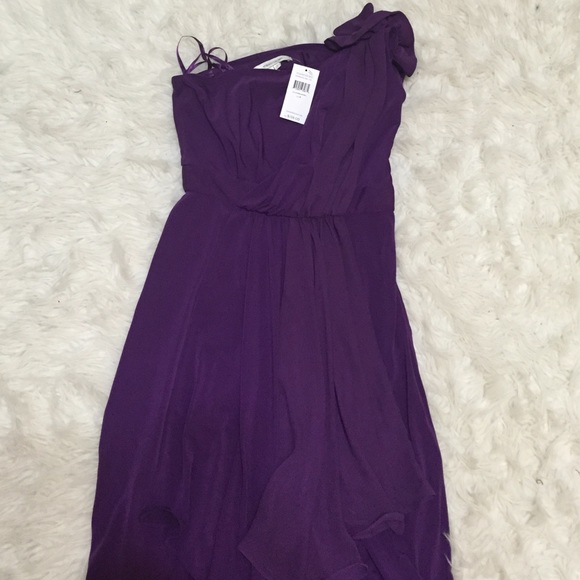 NWT FORMAL MAX AND CLEO PURPLE DRESS