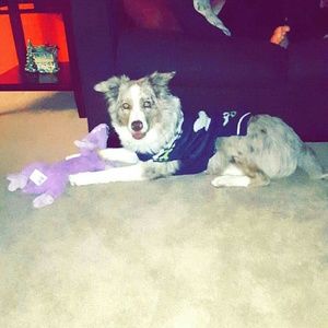 Meet your Posher, Melisa