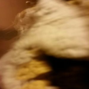 Meet your Posher, Nina