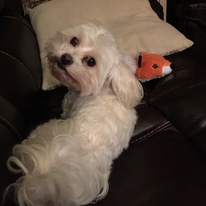 Meet your Posher, Sara