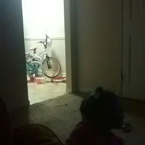 Meet your Posher, Jasmine