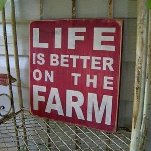 Meet your Posher, Leslie