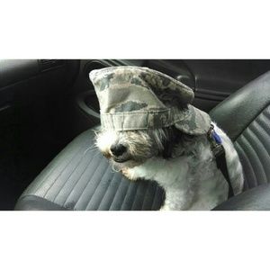 Meet your Posher, Raven