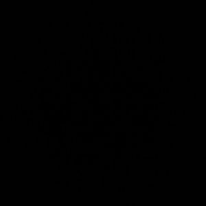 Meet your Posher, Jackson