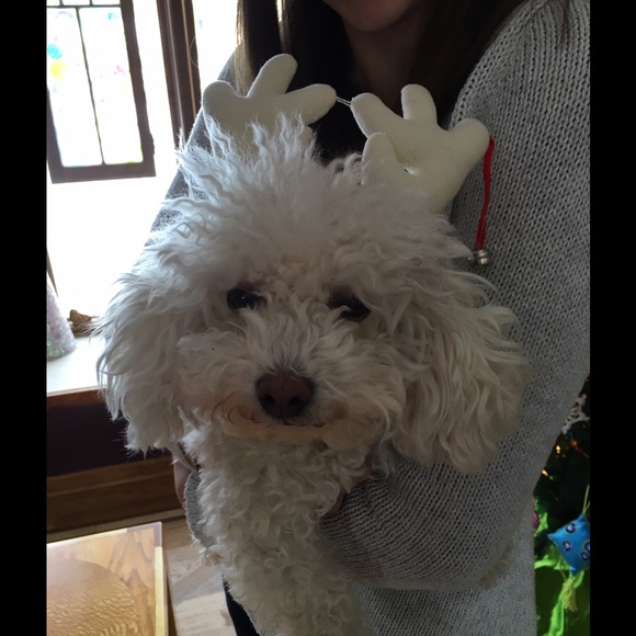 Meet your Posher, Julie, Posh Ambassador - Picture 2 of 5