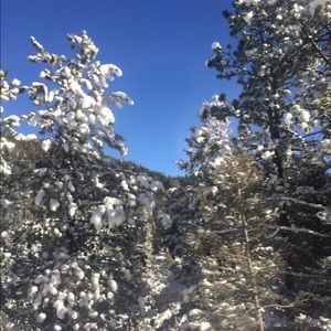 Meet your Posher, Mariah