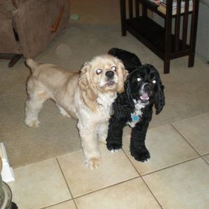 Meet your Posher, Monica