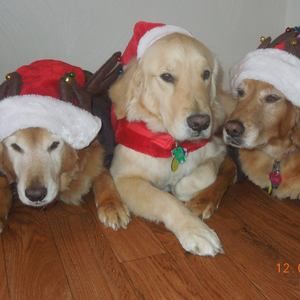 Meet your Posher, Davina